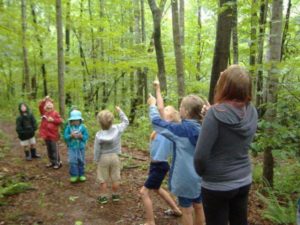 Nature-Discovery