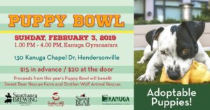 Puppy Bowl 2019! @ Kanuga | Hendersonville | North Carolina | United States