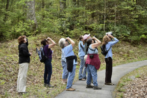 International Migratory Bird Day Celebration @ Cradle of Forestry - Historic Site & Discovery Center | Pisgah Forest | North Carolina | United States