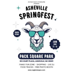 Asheville VeganFest 2024 @ Pack Square Park | Asheville | North Carolina | United States