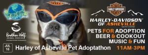 Harley-Davidson of Asheville and Brother Wolf Pet Adoptathon @ Harley-Davidson of Asheville | Swannanoa | North Carolina | United States