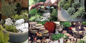 Create Your Own Miniature Garden @ Fifth Season Gardening Co. Asheville Market | Asheville | North Carolina | United States