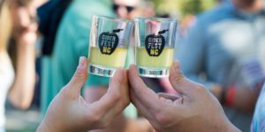 CiderFest NC 2019 @ Carrier Park | Asheville | North Carolina | United States
