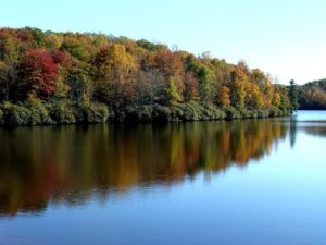 Lake Julian Bird Walk @ Diamond Brand Outdoors | Asheville | North Carolina | United States