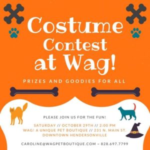 Pet Costume Contest! @ Wag! A Unique Pet Boutique | Hendersonville | North Carolina | United States