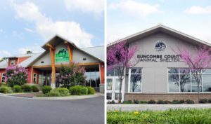 Behind-the-Scenes Tour @ Asheville Humane Society | Asheville | North Carolina | United States