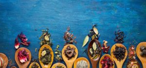 Free Tea Tasting Hosted By Asheville Tea Company @ Nest Organics | Asheville | North Carolina | United States
