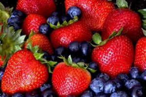 4-H Plant Sale @ Henderson Farms | Flat Rock | North Carolina | United States