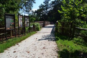 Guided Nature Hike at Fletcher Community Park! @ Fletcher Community Park | Fletcher | North Carolina | United States