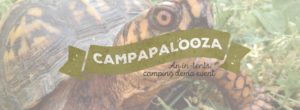 Shelly the Box Turtle + Friends @ Diamond Brand Outdoors | Asheville | North Carolina | United States