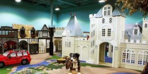 Spring Princess Party @ Mountain Play Lodge  | Arden | North Carolina | United States