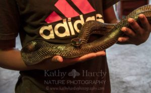 Earthshine Nature Programs Fundraiser @ Oskar Blues Brewery North Carolina | Brevard | North Carolina | United States