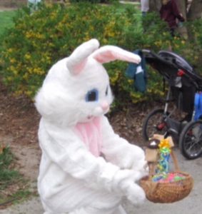 Easter Egg Hunt @ Laurel Green | Laurel Park | North Carolina | United States
