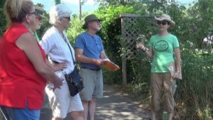 Greenways Discovery Day @ Lake Tomahawk | Black Mountain | North Carolina | United States