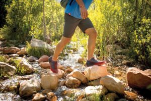 Trail Safety + First Aid @ Frugal Backpacker | Asheville | North Carolina | United States