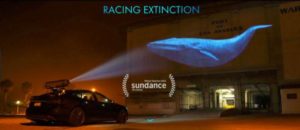 Racing Extinction with Special Guest Leilani Münter! @ Sanctuary Brewing Company | Hendersonville | North Carolina | United States