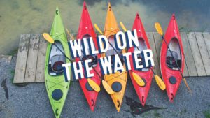 Wild on the Water Summer Splash @ Wild Wing Cafe South Asheville | Arden | North Carolina | United States