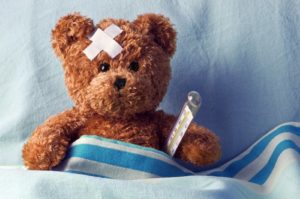 Stuffed Animal Vet Clinic @ Dancing Bear Toys - Asheville | Asheville | North Carolina | United States