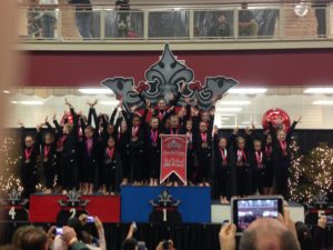 Family Fun Festival @ Hahn's Gymnastics | Arden | North Carolina | United States