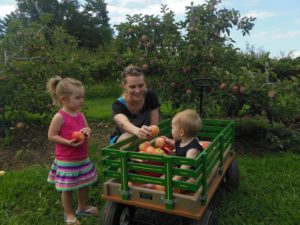 Labor Day Weekend Fun at the Farm @ Stepp's Hillcrest Orchard | Hendersonville | North Carolina | United States