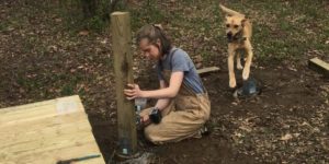 Volunteer to Build a New Campsite on the French Broad Paddle Trail @ Westfeldt Park | Fletcher | North Carolina | United States