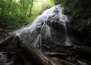 National Public Lands Day - Family Hike @ Nantahala Hiking Club | Franklin | North Carolina | United States