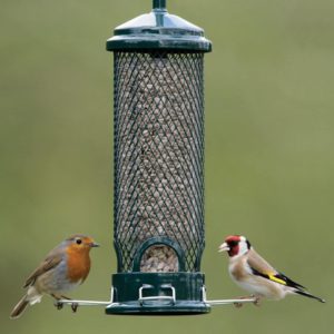 Free birding class for kids-attracting birds to your backyard @ The North Carolina Arboretum | Asheville | North Carolina | United States