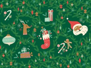 Extra Special Holiday Party Meet up @ Family Support Network | Asheville | North Carolina | United States