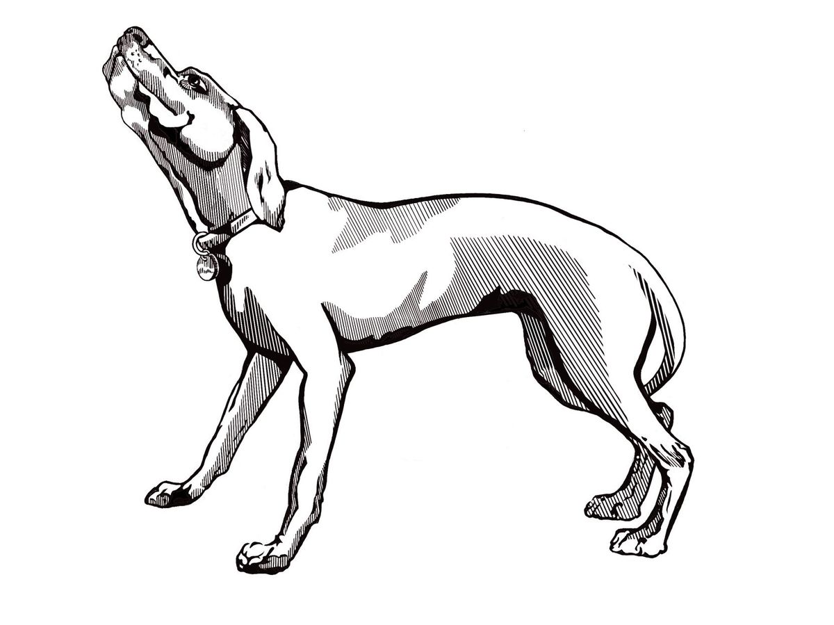 59f8a424d3db6.image