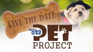 Annual News 13 Pet Project! @ Camp Bow Wow South Asheville | Arden | North Carolina | United States