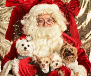 Santa Paws! @ Sanctuary Brewing Company | Hendersonville | North Carolina | United States