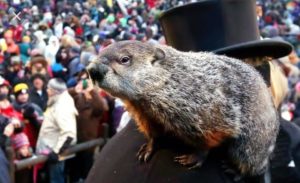 Groundhog Day Party! @ WEDGE STUDIOS | Asheville | North Carolina | United States