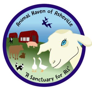 Visit with the Rescued and Rehabilitated Farm Animals @ Animal Haven of Asheville | Asheville | North Carolina | United States