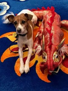 Chinese New Year of the Dog Kids Party @ Swannanoa Library Branch | Swannanoa | North Carolina | United States