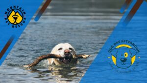 Mix 96.5's Dog Day Afternoon! @ Salvage Station | Asheville | North Carolina | United States