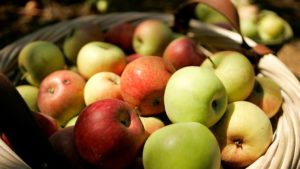 Apple Extravaganza @ The Regeneration Station | Asheville | North Carolina | United States