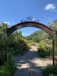Stroll Amongst 30 Gardens on and Beside a Historic Bridge @ Lake Lure Flowering Bridge