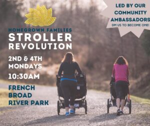Stroller Revolution Walk @ French Broad River Park