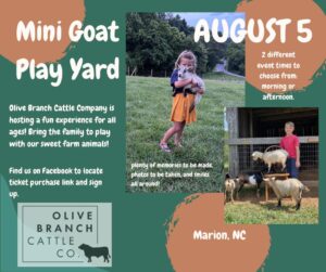 Mini Goat Play Yard @ Olive Branch Cattle Co