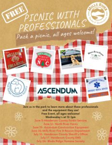 Picnic with Professionals @ Mills River Park