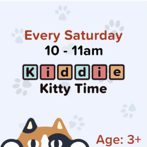 Kiddie Kitty Time (ages 3-10yrs) @ Cats at Play Cafe Asheville