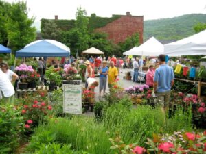 2024 Garden Sale (See Description for todays time) @ Black Mountain Town Square