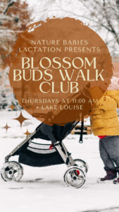 Blossom Buds Walk Club @ Lake Louise