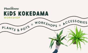 Kids Kokedama Workshop (6-11yrs) @ PlantHouse (Asheville, NC)