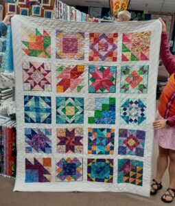 Asheville Cotton Co Quilt Show for MANNA 2024 @ Asheville Cotton Co