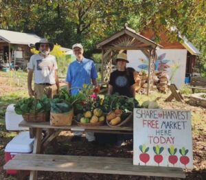Share the Harvest: FREE Farmers Market @ Root Cause Farm