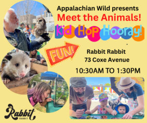 Meet the Animals Day at Kid Hop Hooray @ Rabbit Rabbit