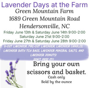 Lavender Days at the Farm @ Green Mountain Farm