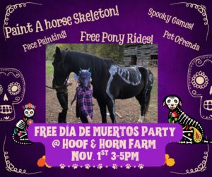 FREE Dia de Muertos Party @ 389 Dillingham Rd, Barnardsville, NC